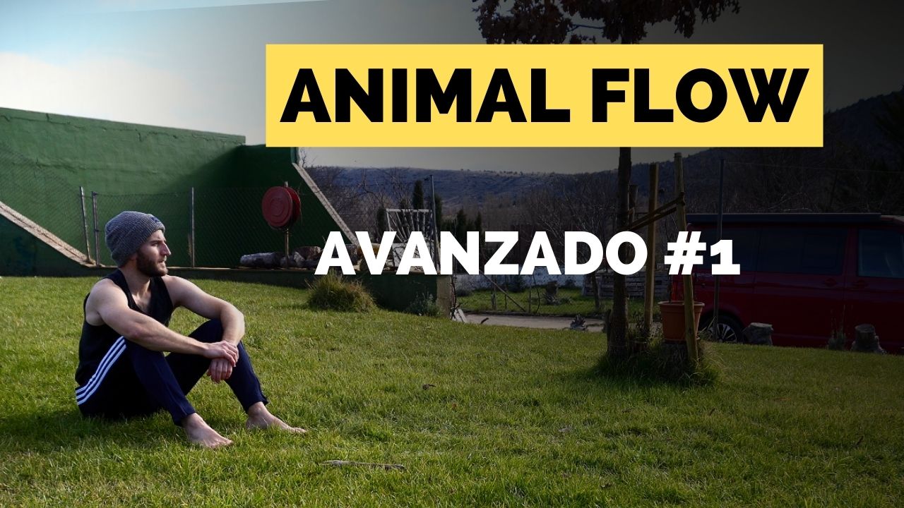 flows avanzados