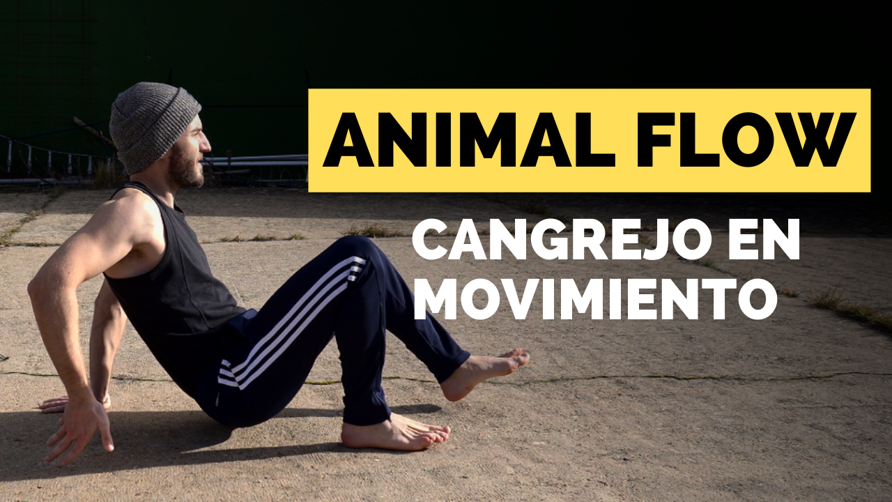 tutorial cangrejo en movimiento