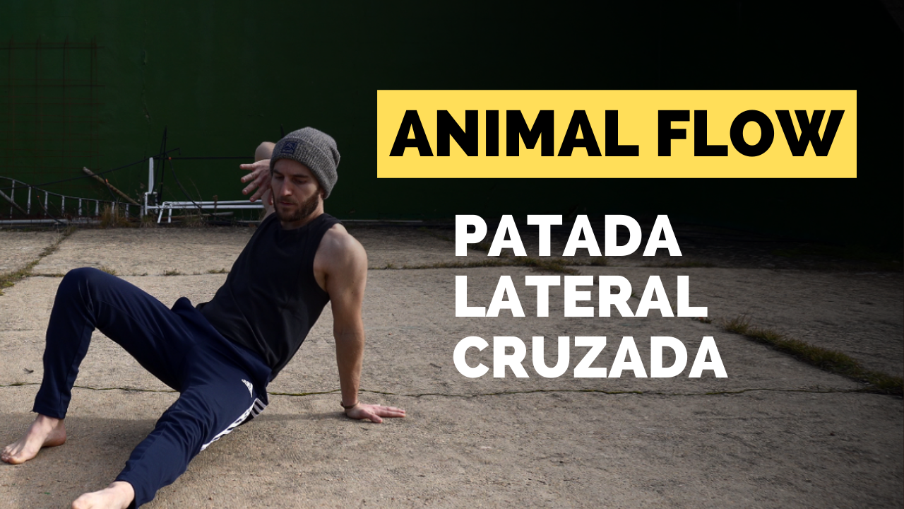 tutorial patada lateral cruzada