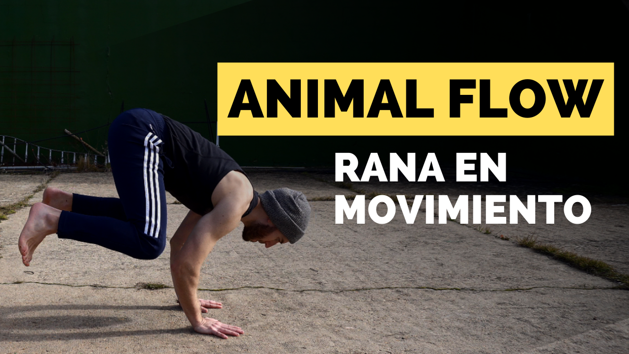 tutorial rana en movimiento