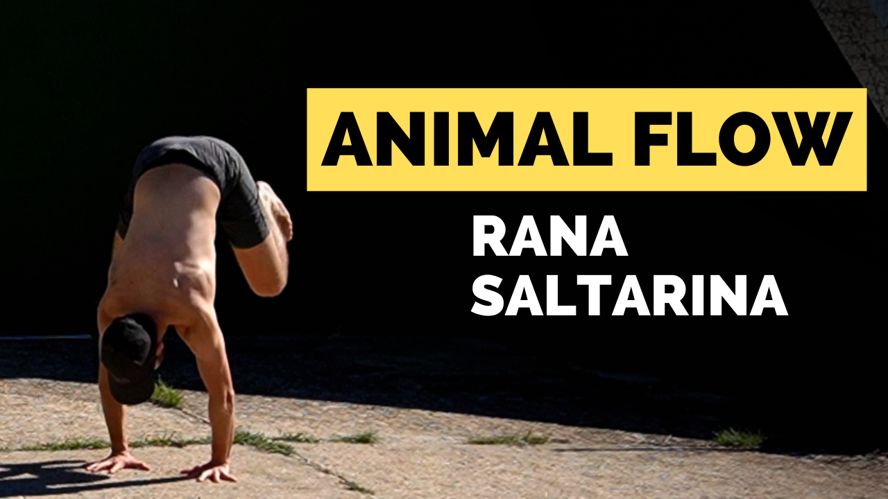 tutorial rana saltarina